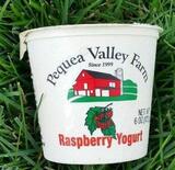 (Case of 6) 6oz Raspberry Yogurt
