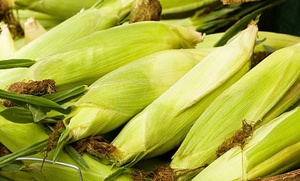 Sweet Corn on the Cob - 4 ears