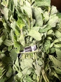 Organic Oregano