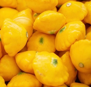 Organic Patty Pan Squash