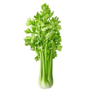 Organic Celery