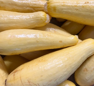 Organic Yellow Squash