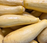 Organic Yellow Squash