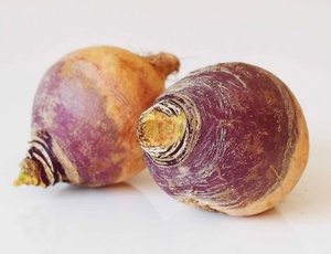 Rutabaga