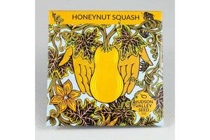 Honeynut Squash Seeds