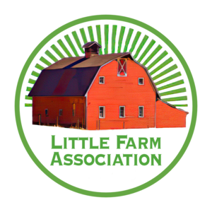 Monthly Membership