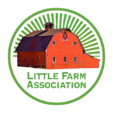 Monthly Membership