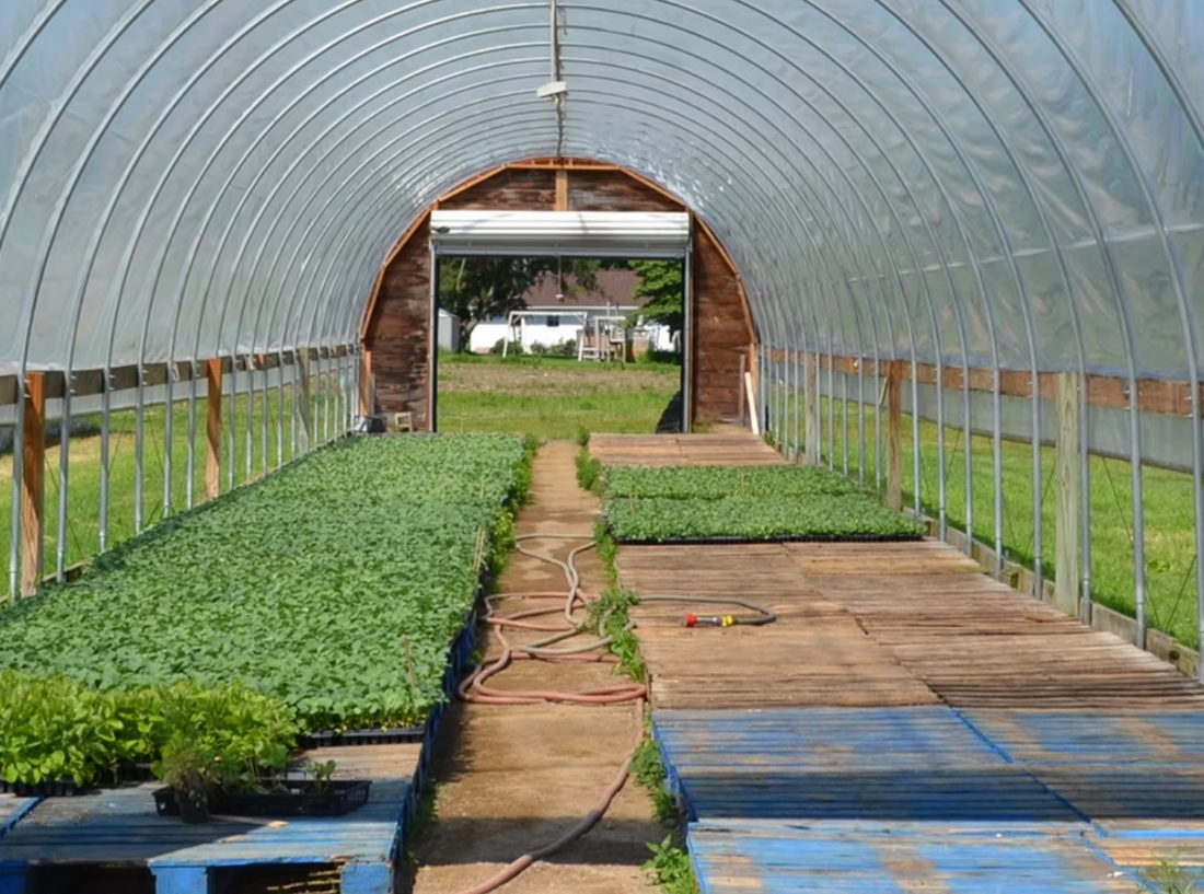 Plainville Farm